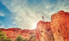 Tortor neque adpiscing diam