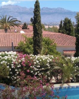 Yoga in Alicante, Spanien